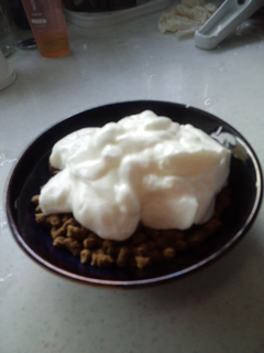 110915-1518 ラブのヨーグルトかけフード